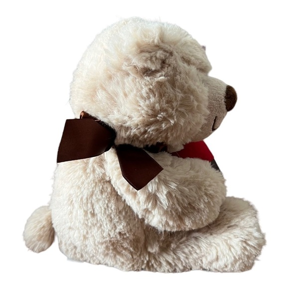 Edible Arrangements‎ Berry Loved Bear Plush Stuffed Animal Toy 10” with tag - Picture 5 of 8